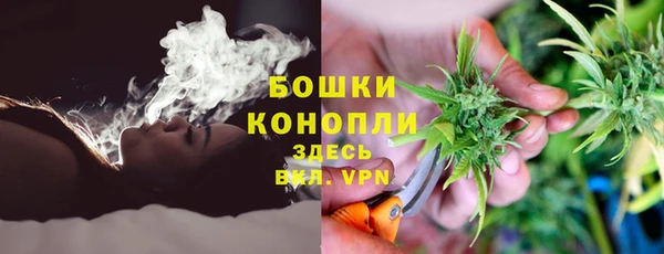 PSILOCYBIN Арсеньев