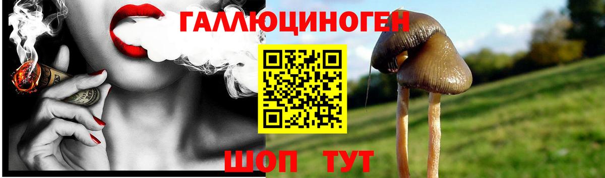 Псилоцибиновые грибы Magic Shrooms  купить   Набережные Челны  Галлюциногенные грибы Magic Shrooms  Вход с VPN 
